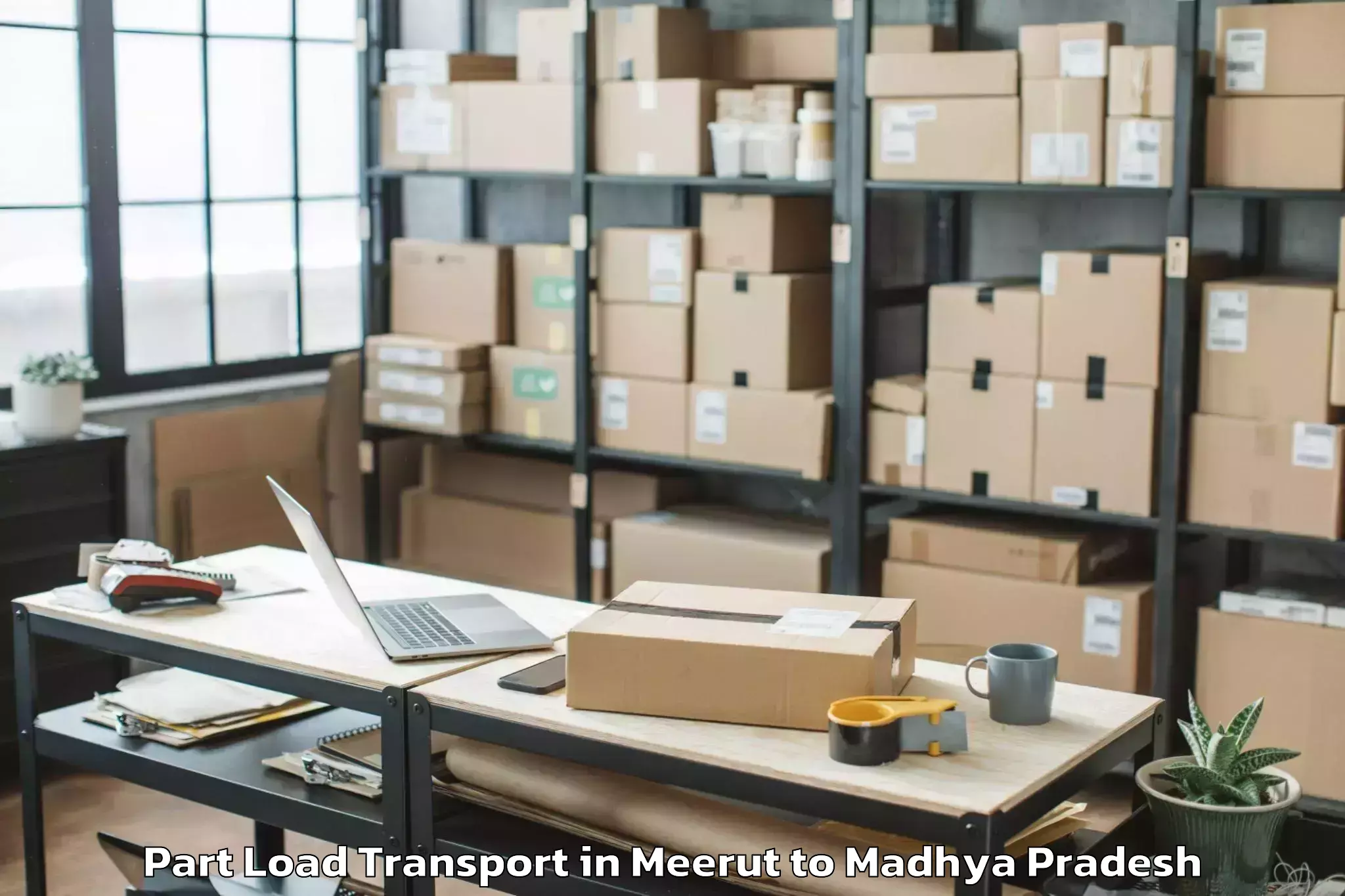 Professional Meerut to Hatod Part Load Transport